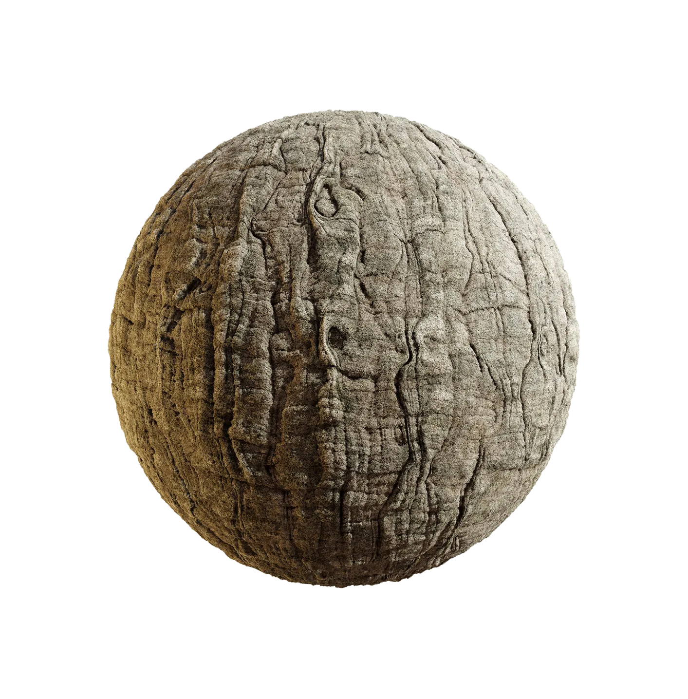 日本山梅花树皮25060835