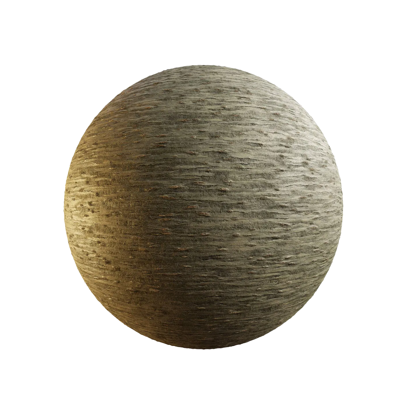 日本樱花树皮25060842