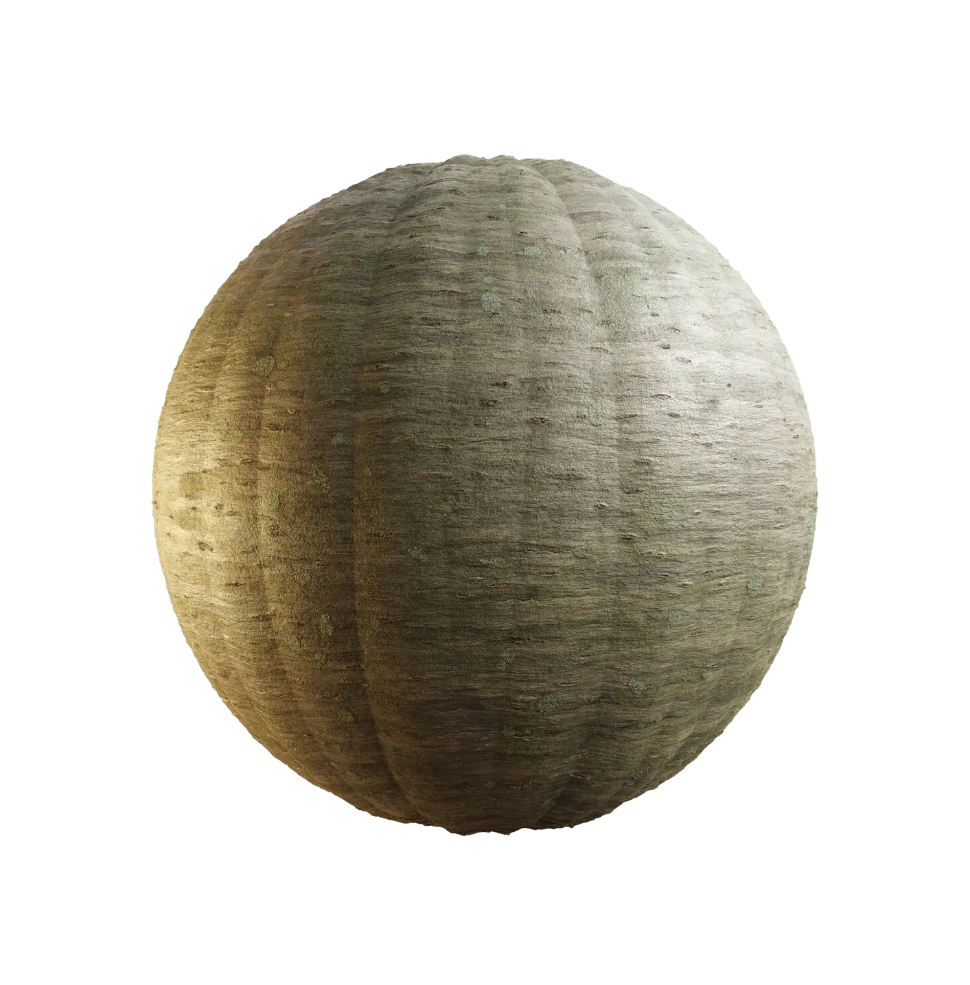 日本樱花树皮25060843