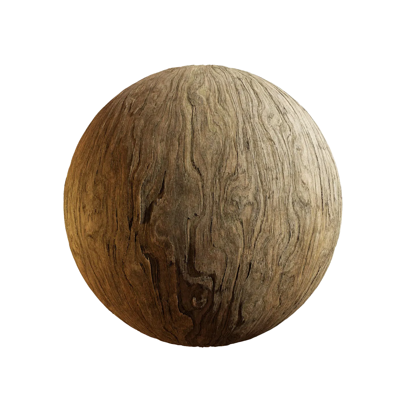 日本紫杉树皮25060845