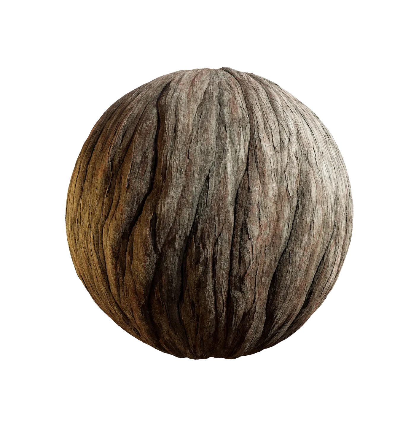 日本紫杉树皮25060847