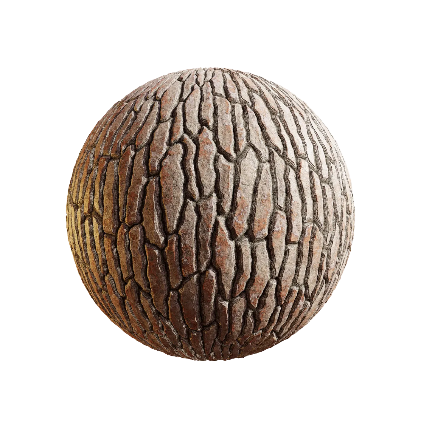 日本赤松树皮25060826