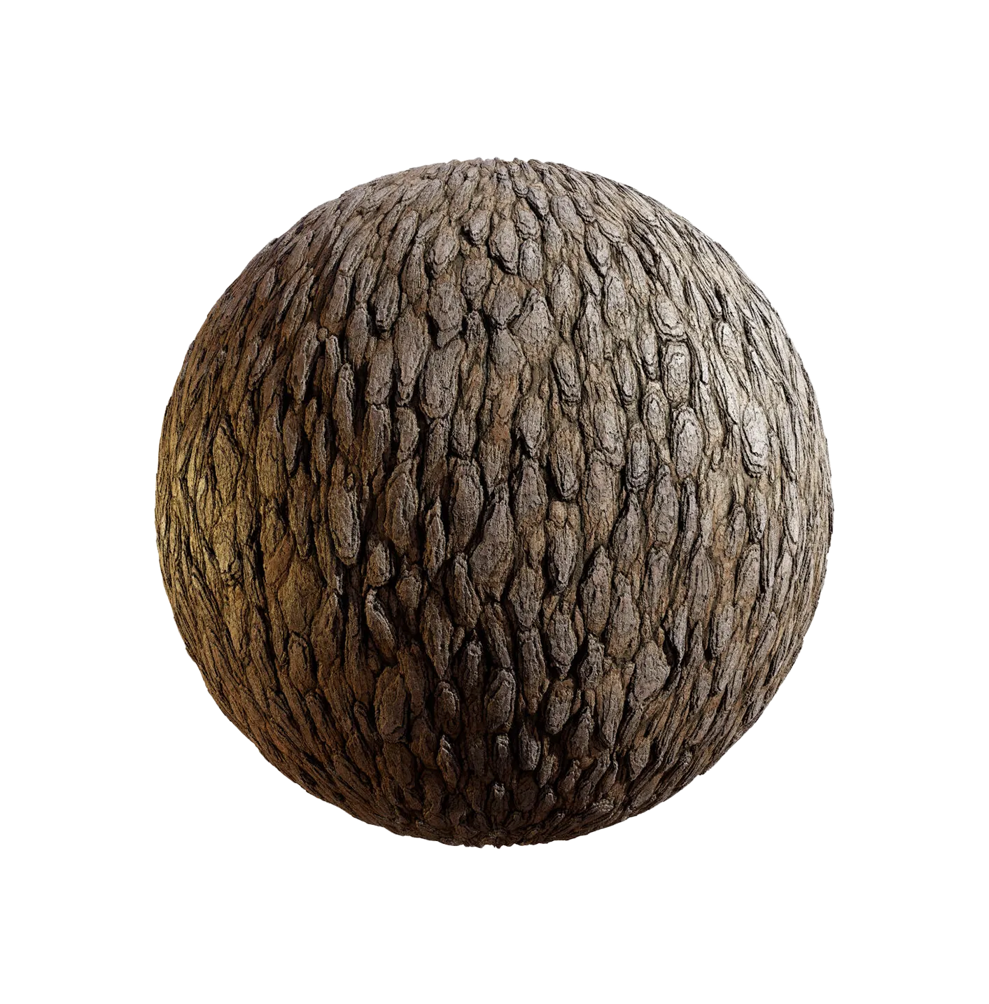 杜鹃花树皮25060900