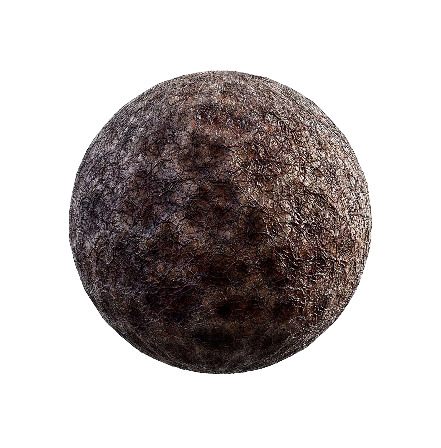 棕色生物皮肤2506101101