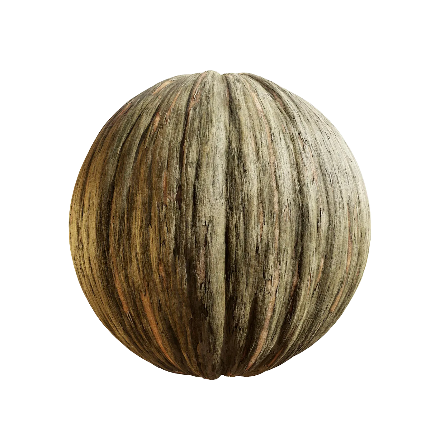 水杉树皮25060849