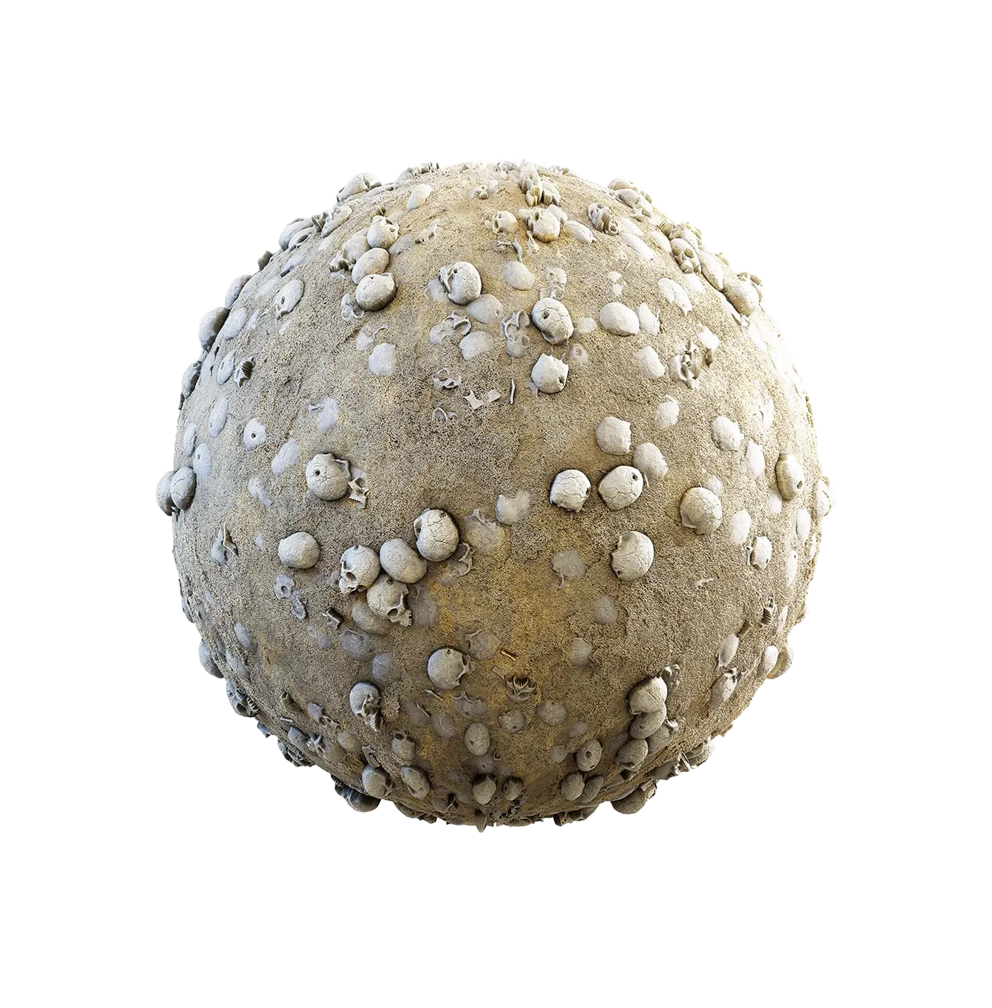 沙漠上的头骨250610535