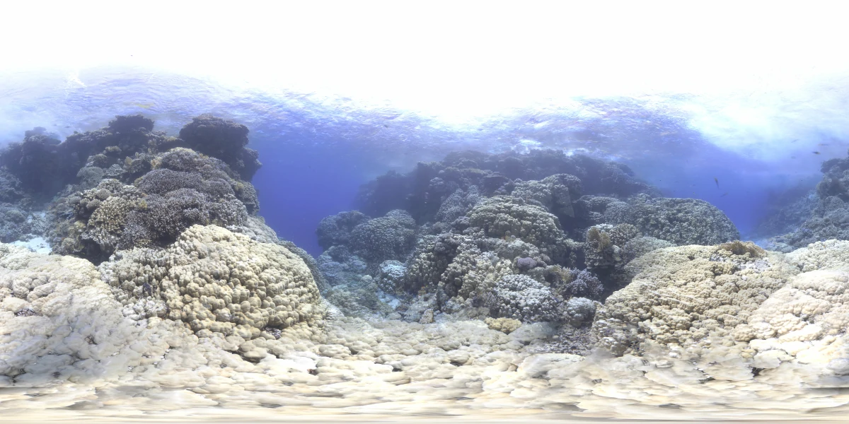 海洋环境水下世界-03