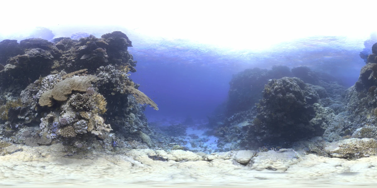 海洋环境水下世界-04