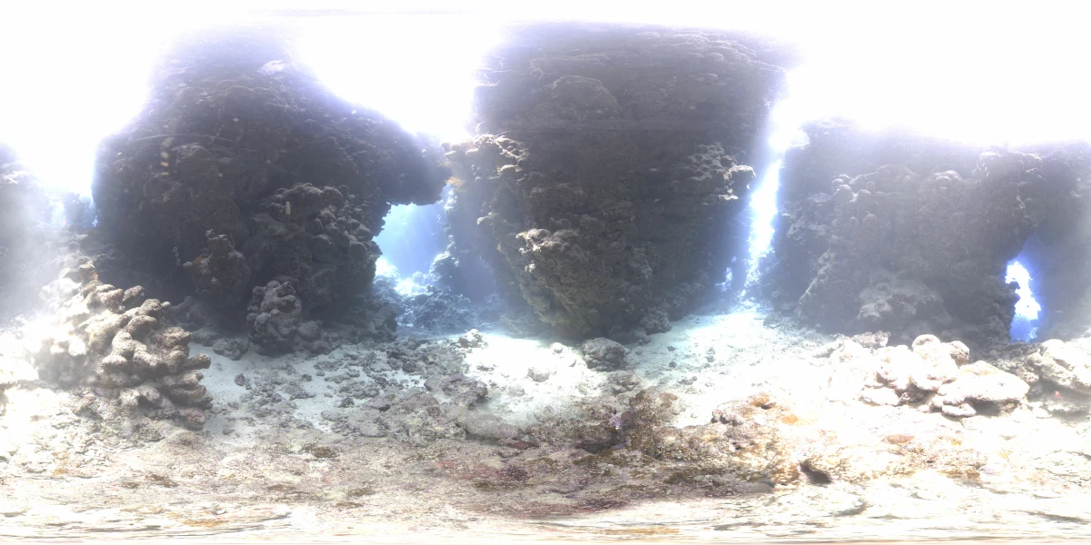 海洋环境水下世界-06