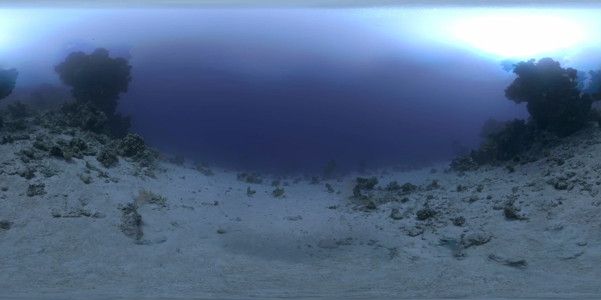 海洋环境水下世界-07