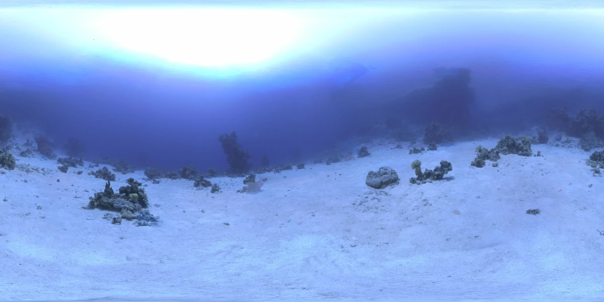 海洋环境水下世界-15