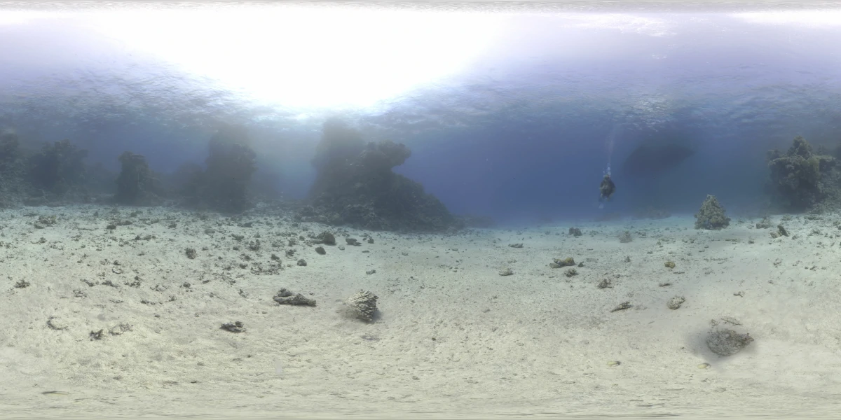 海洋环境水下世界-23