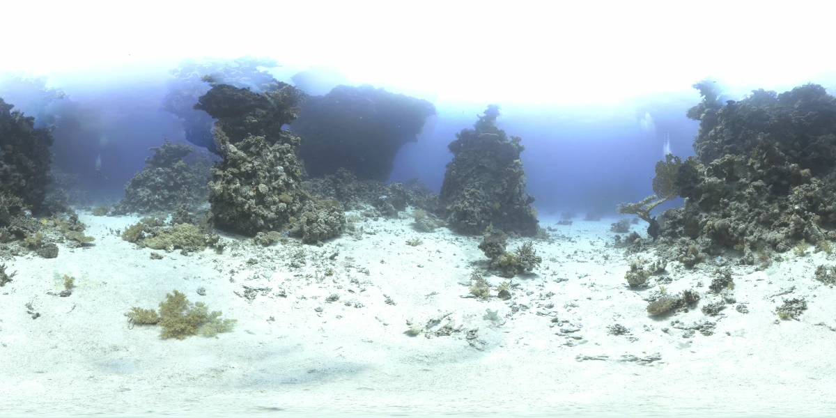 海洋环境水下世界-25