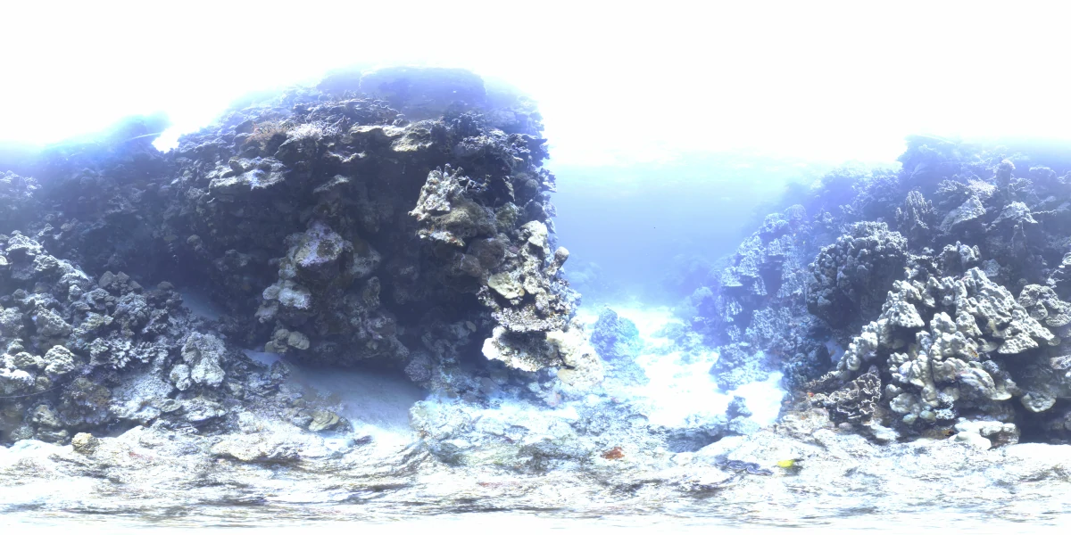 海洋环境水下世界-27