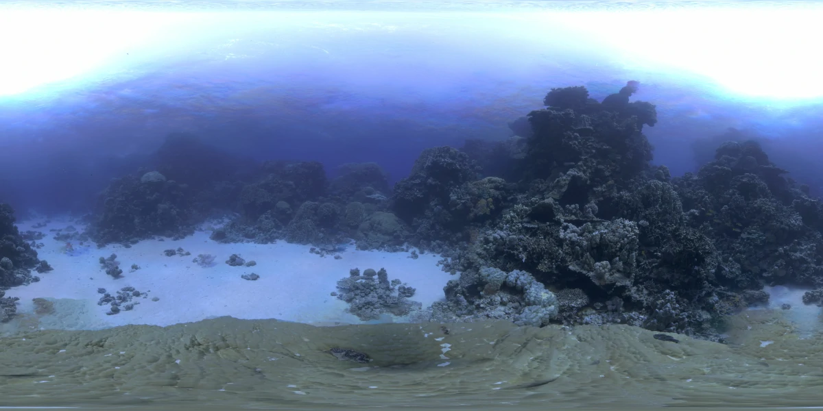 海洋环境水下世界-28