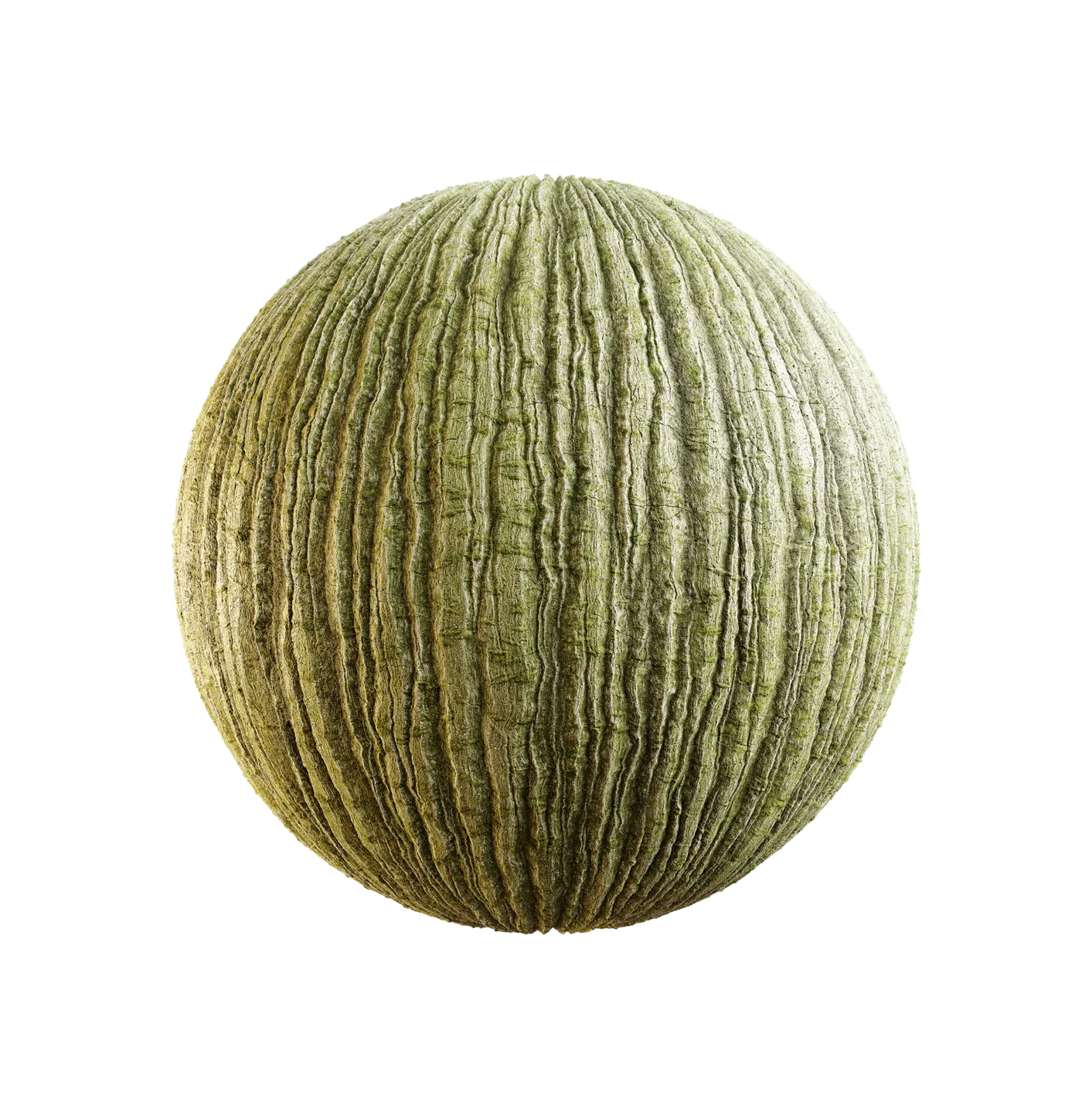 满洲枫树皮25060816