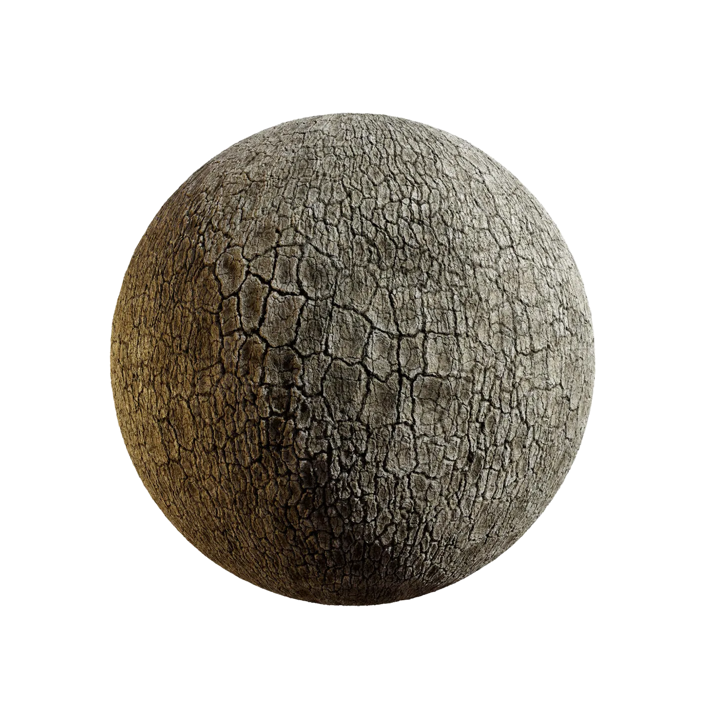 火焰木树皮25060814