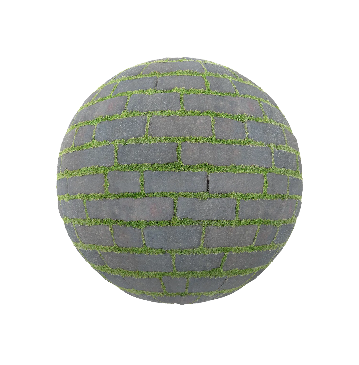 灰色砖路面带草2506091617