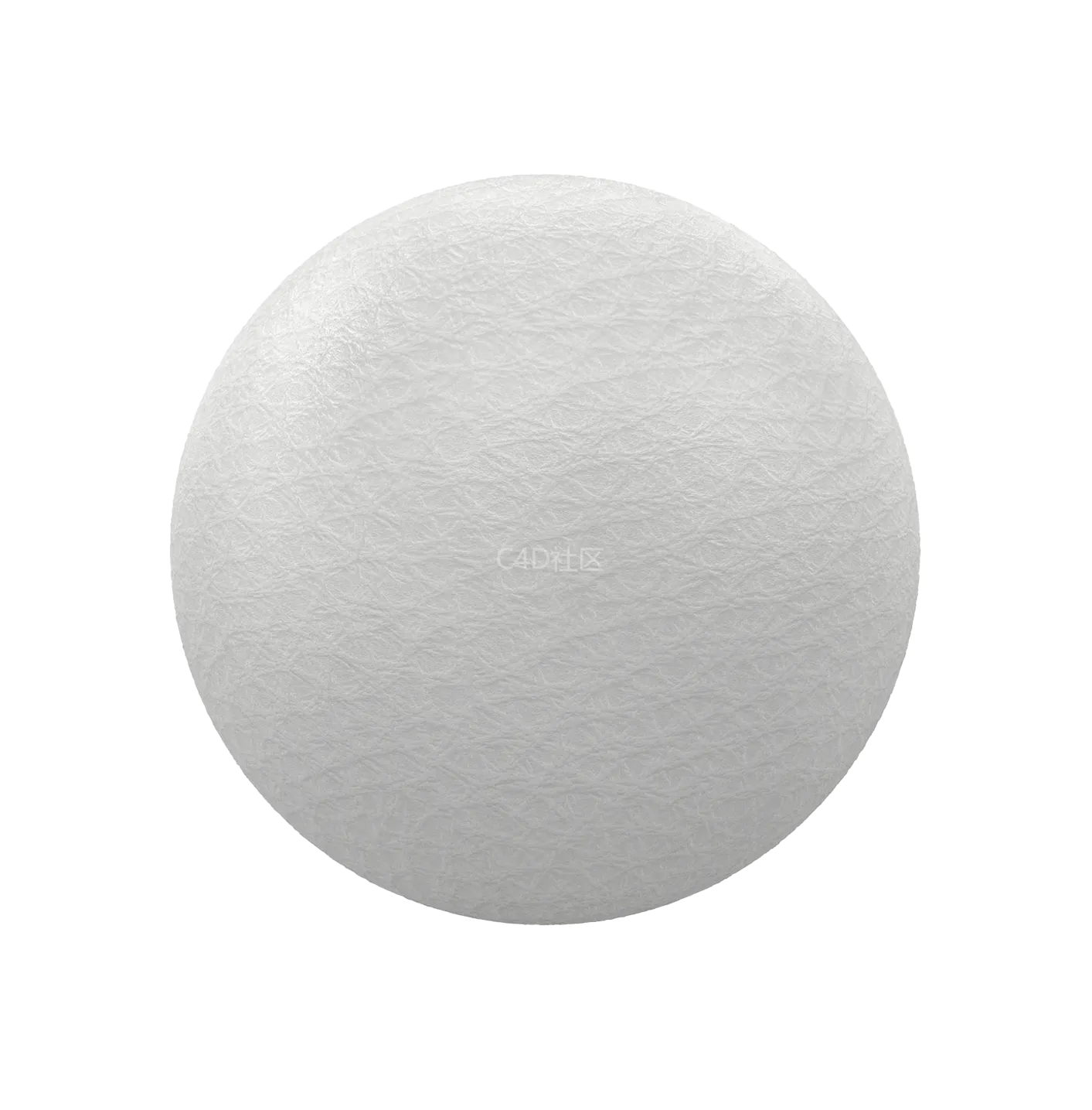 白色皮革250610521