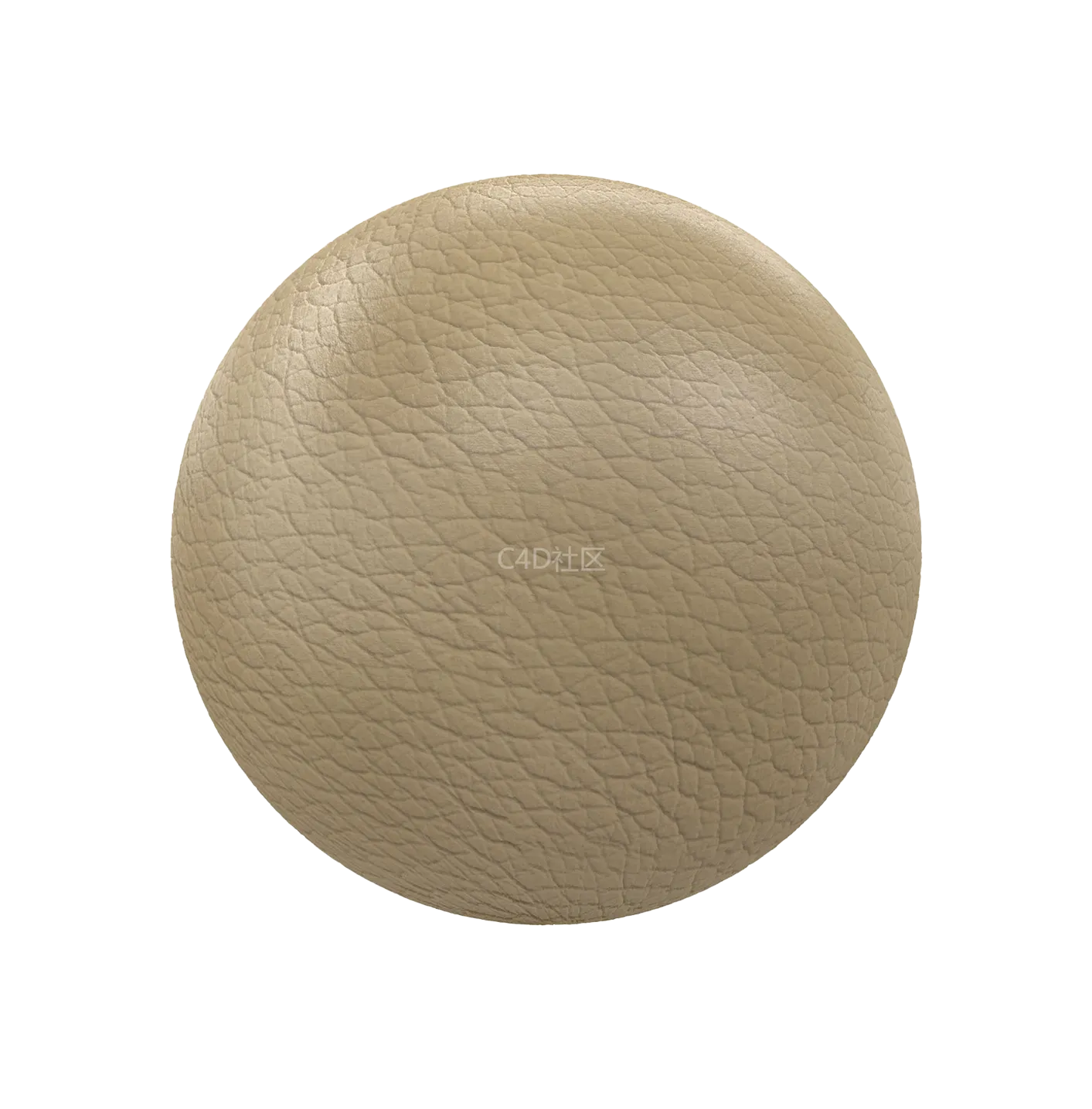 米色皮革250610587