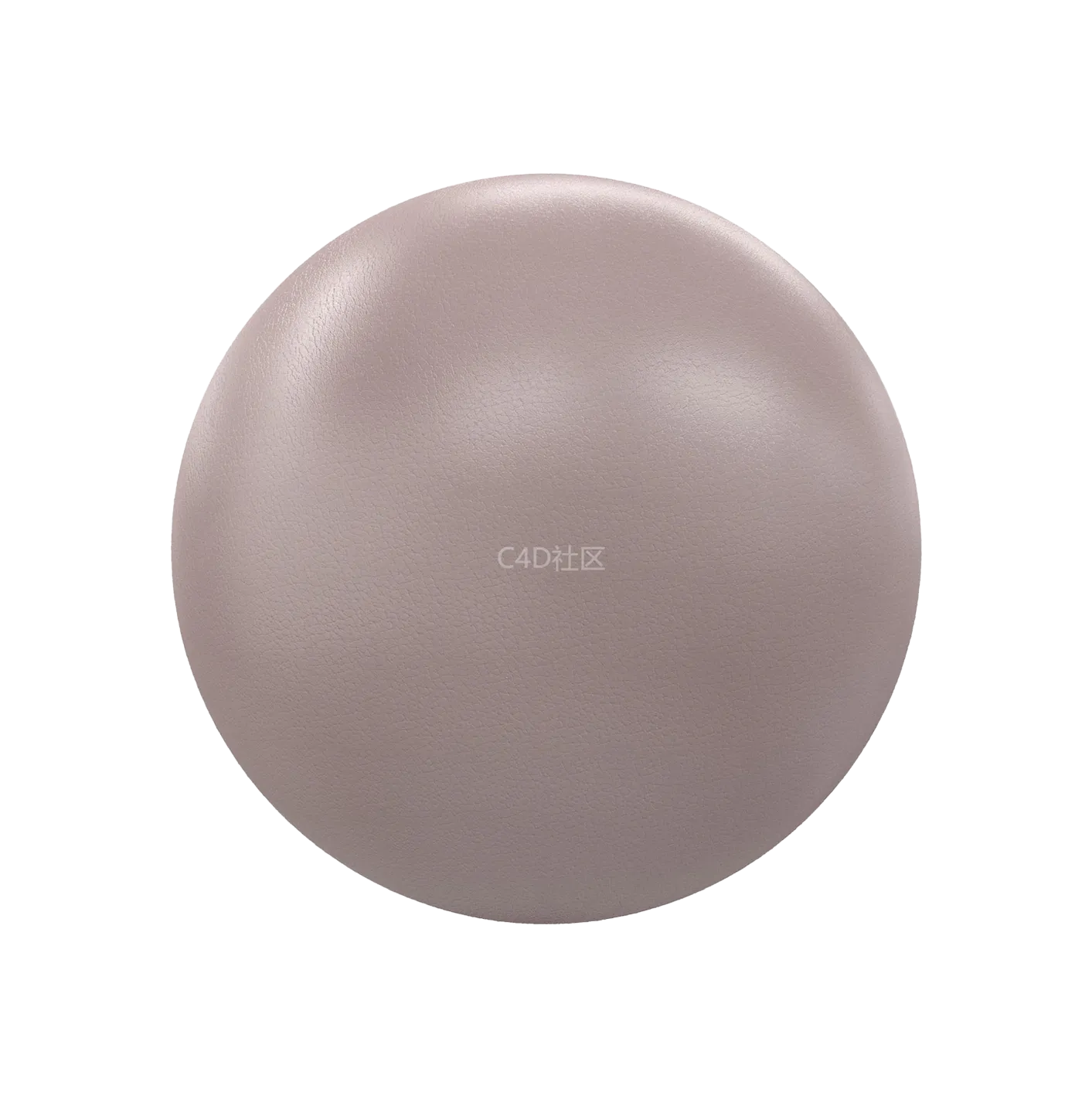 米色皮革250610589