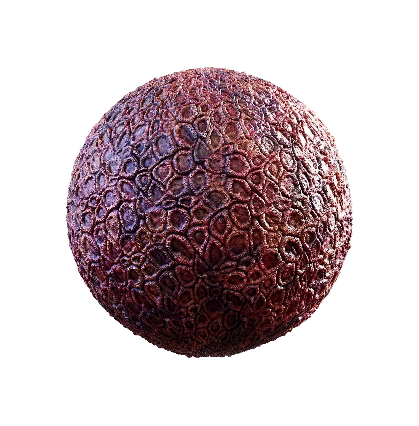 紫色生物皮肤2506101149