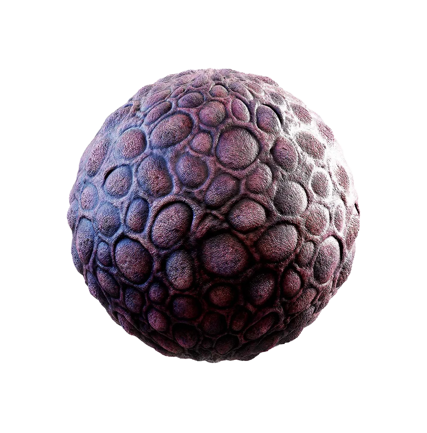 紫色生物皮肤2506101150