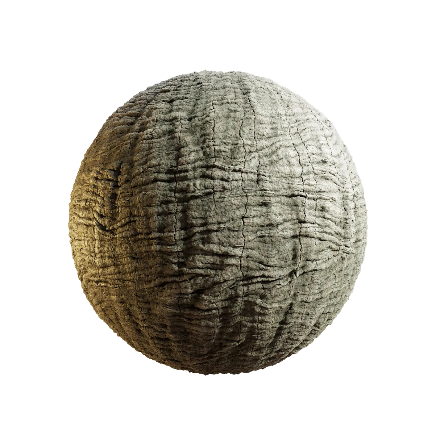 紫藤树皮25060875