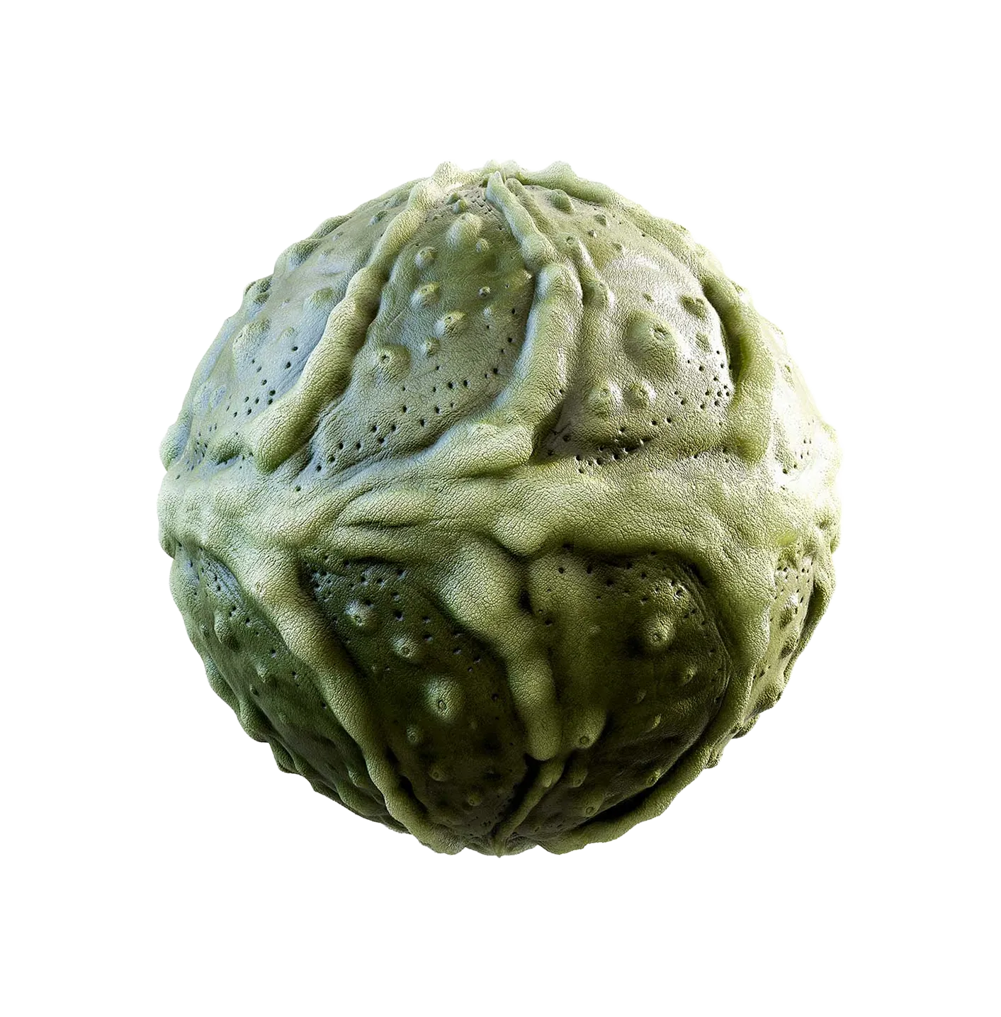 绿色生物皮肤2506101117