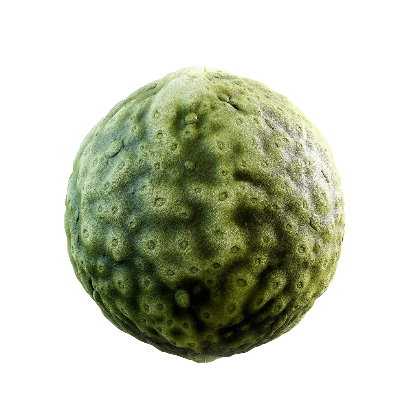 绿色生物皮肤2506101118