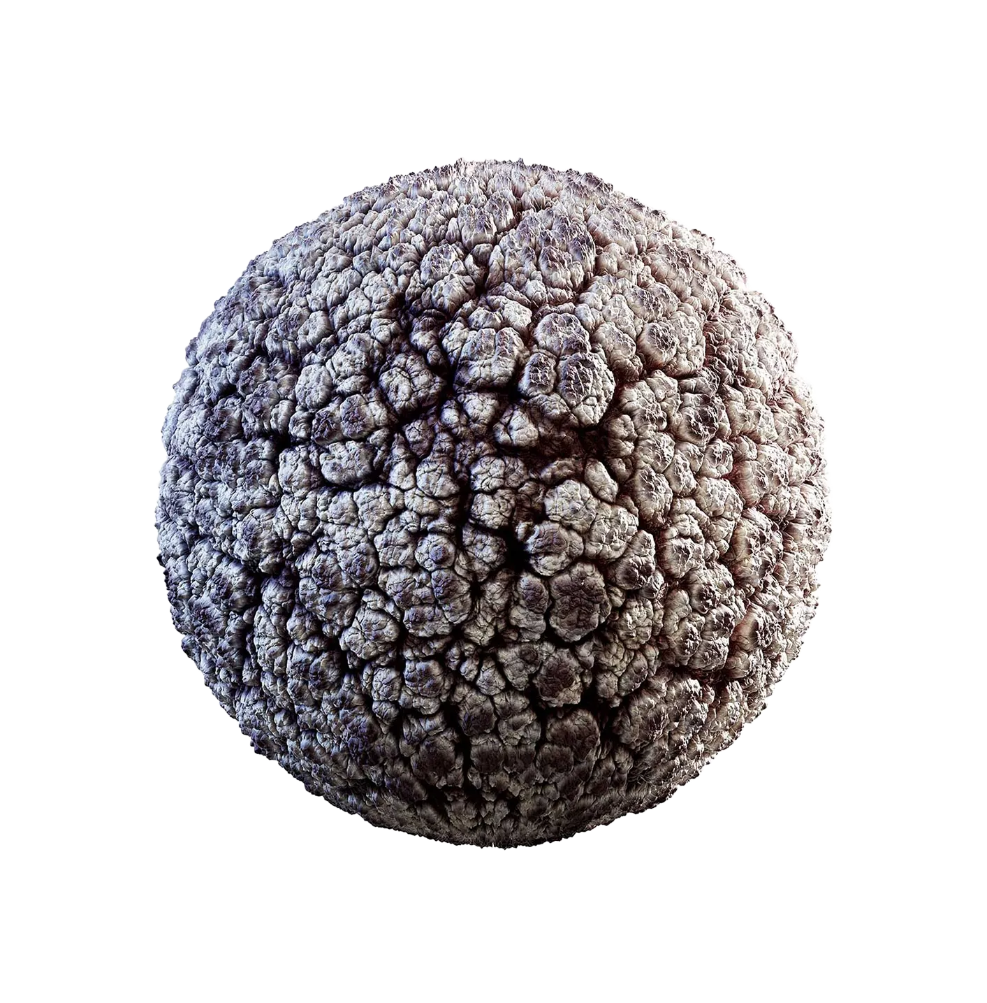 老灰色生物皮肤2506101143