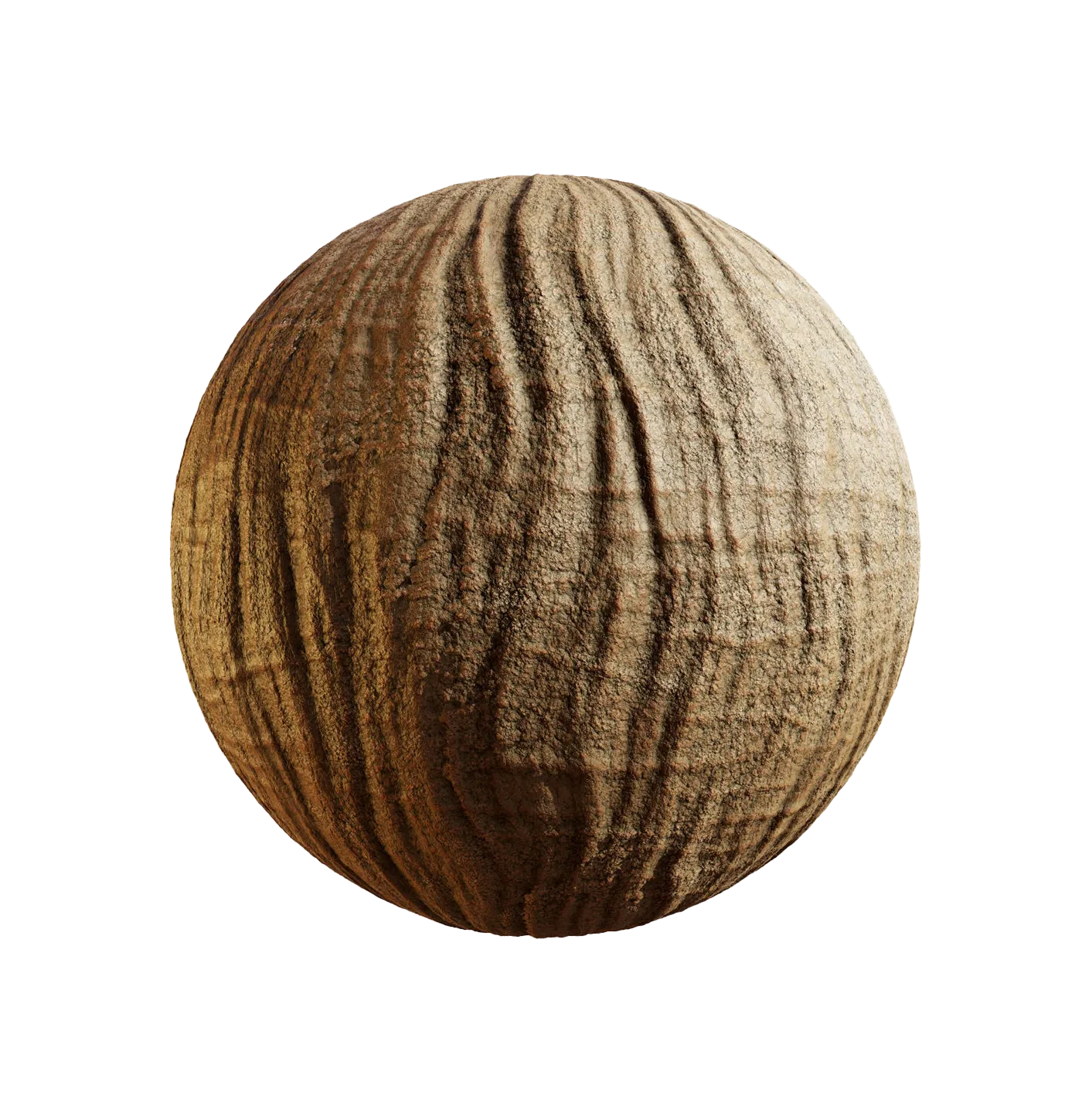 菠萝蜜树皮25060880