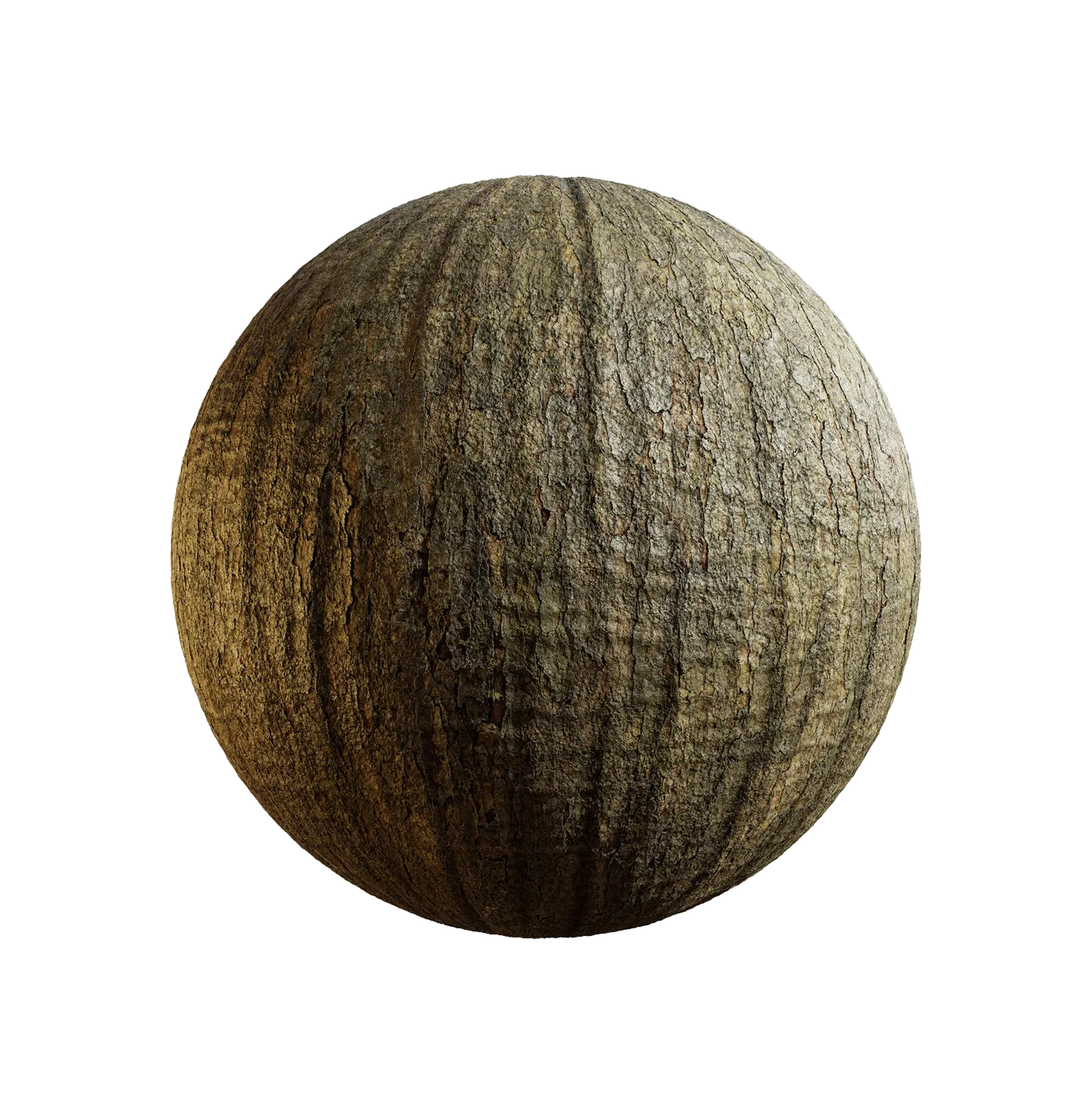 菠萝蜜树皮25060882