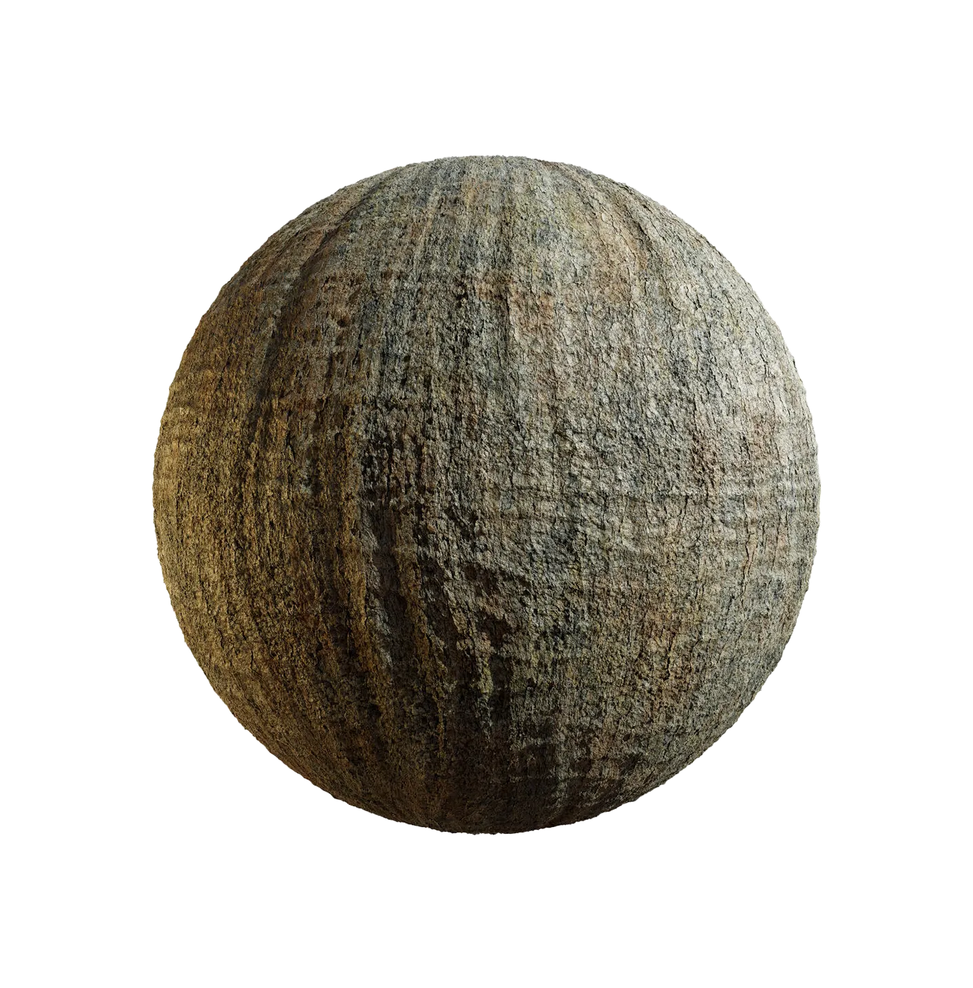 菠萝蜜树皮25060883