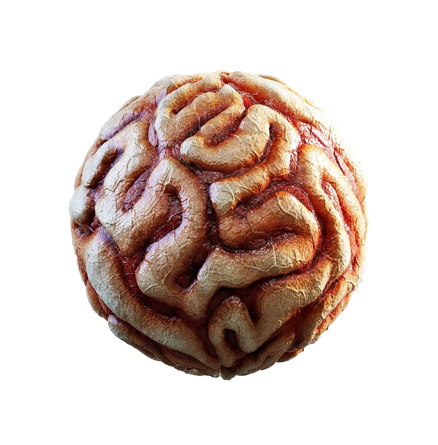 血腥内脏2506101195