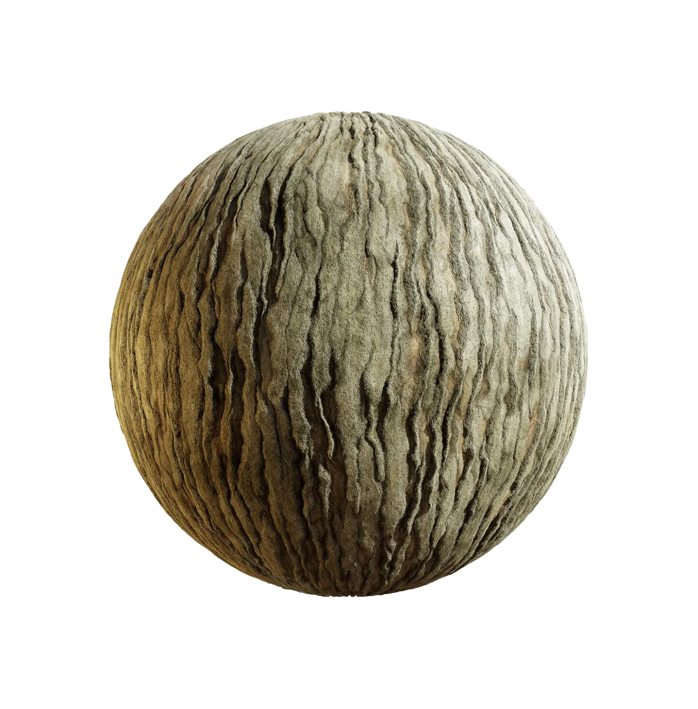 银杏树皮25060858