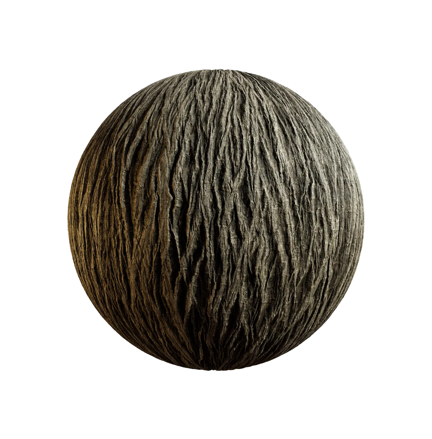 银杏树皮25060860