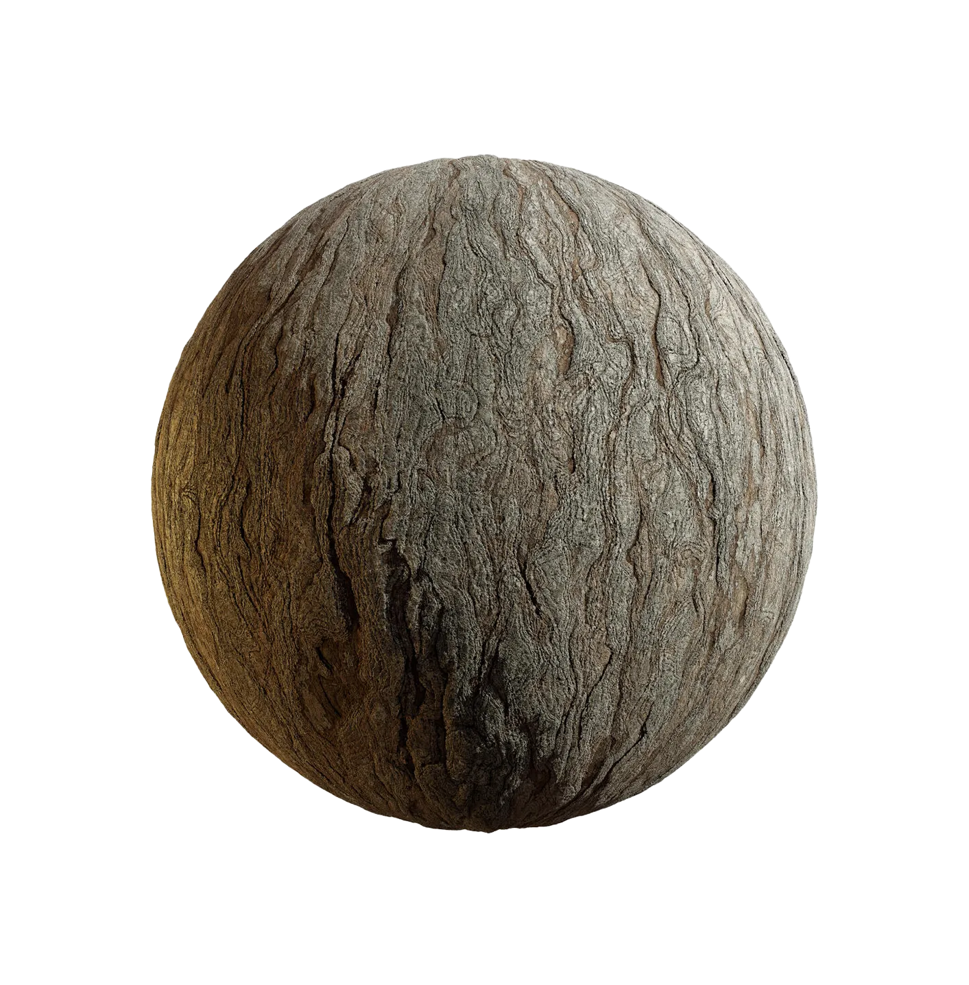 银杏树皮25060862