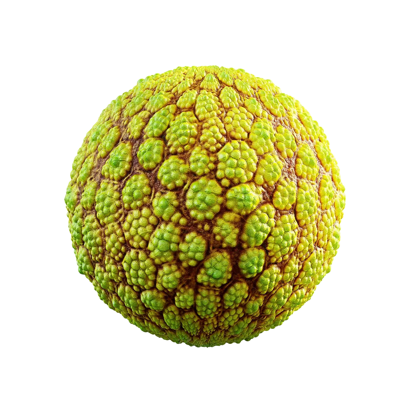 黄色生物皮肤2506101183