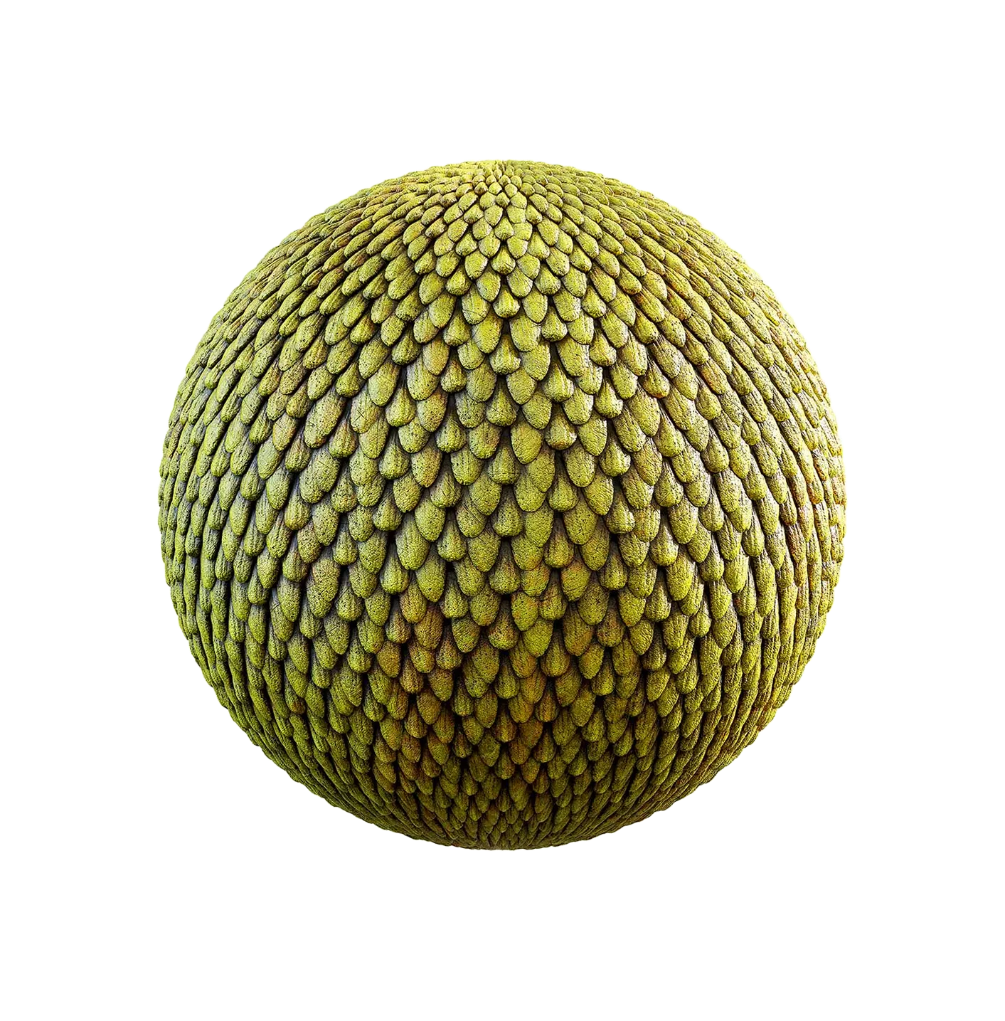 黄龙鳞片2506101184