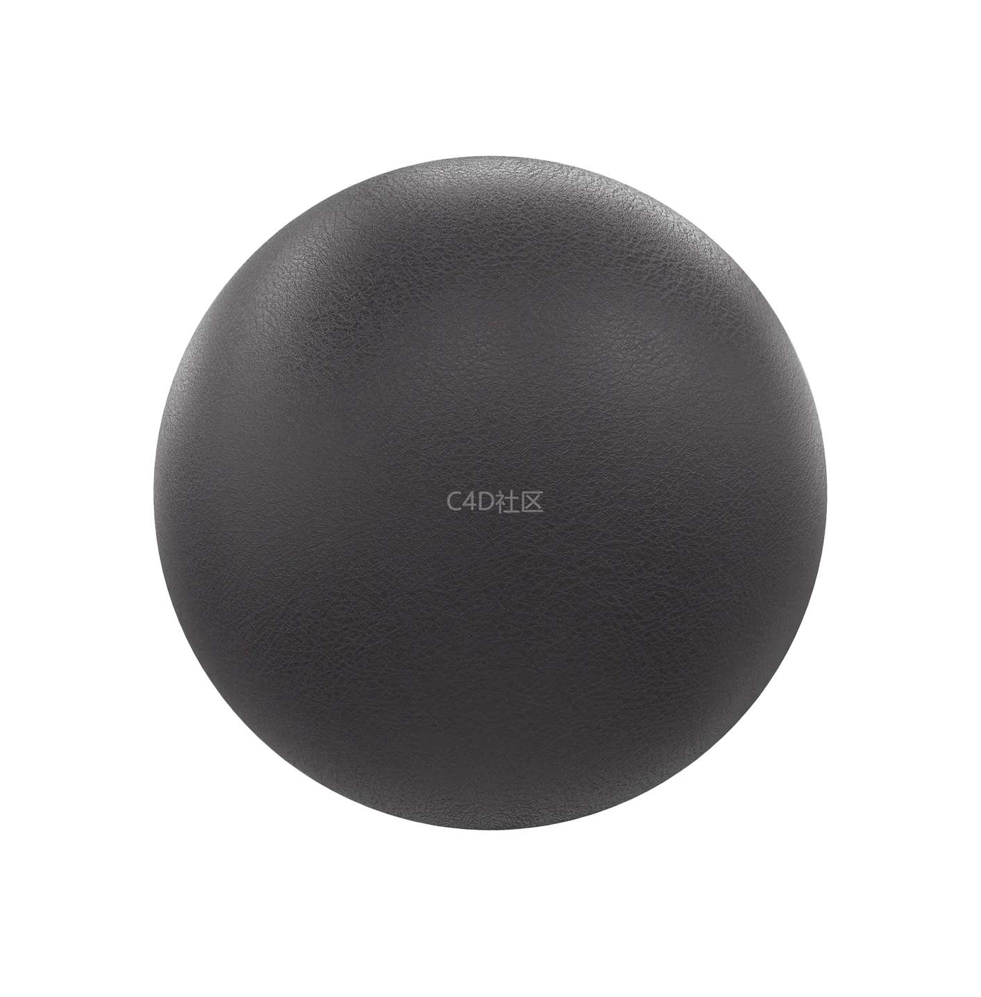 黑色皮革250610545