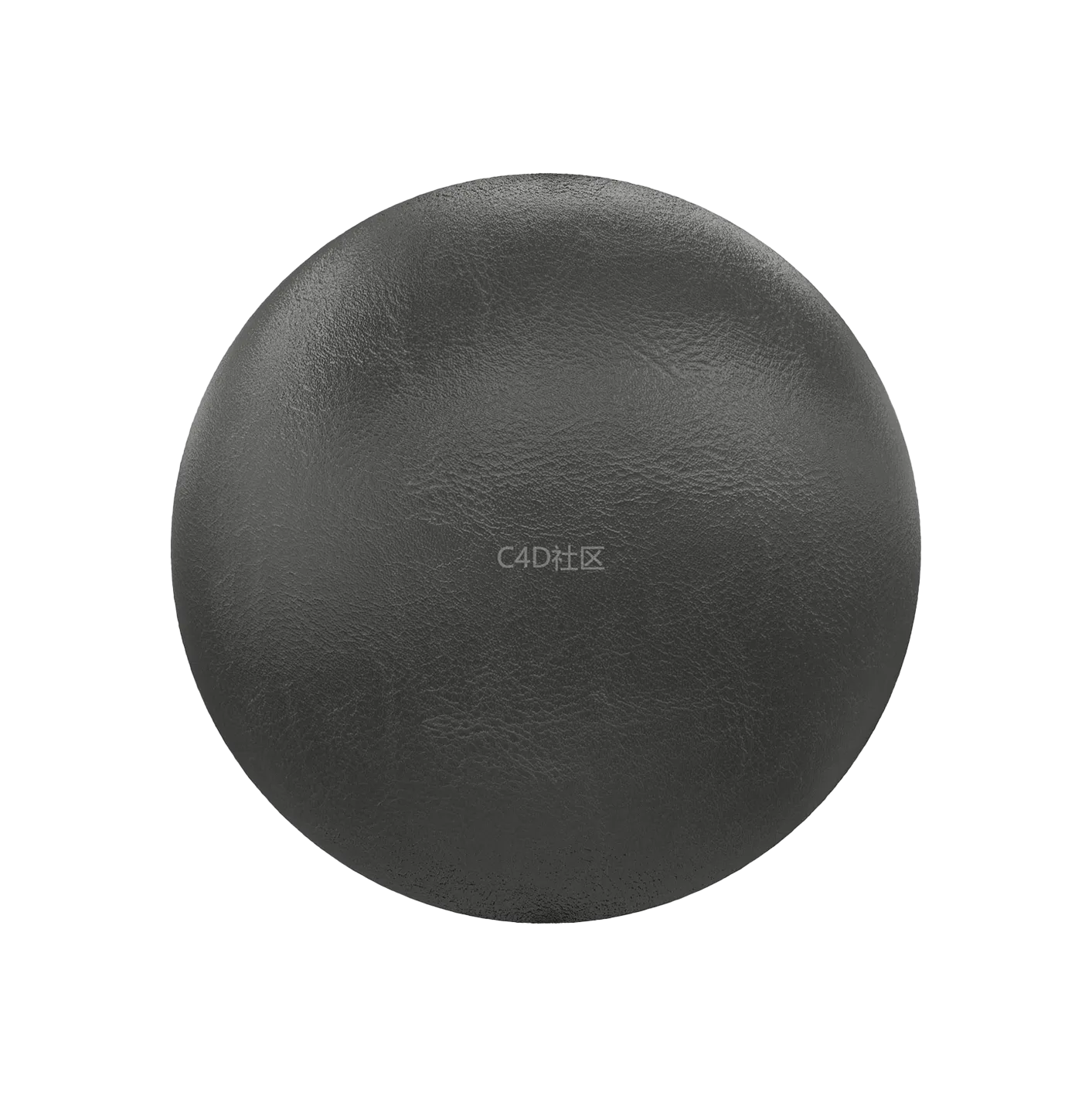 黑色皮革250610556