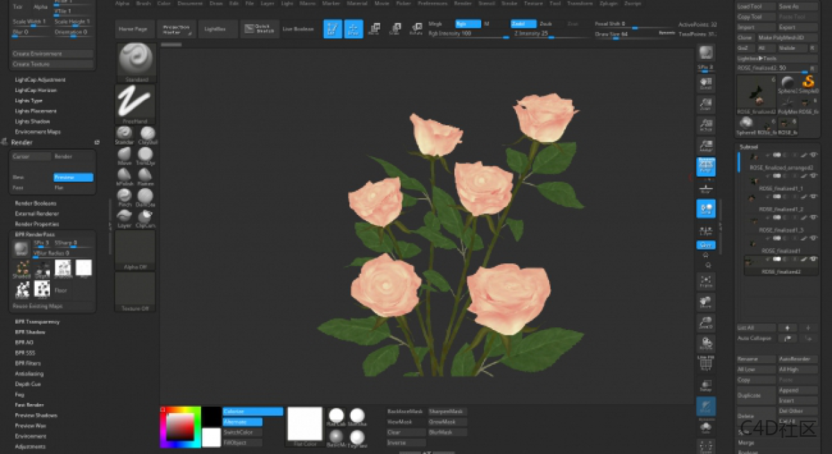 在ZBRUSH中与LIZ KIRBY建立高多边形植物 (2)