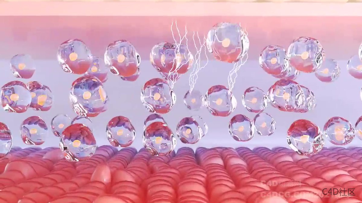 新手做的纯C4D美容仪动画有一定参考意义