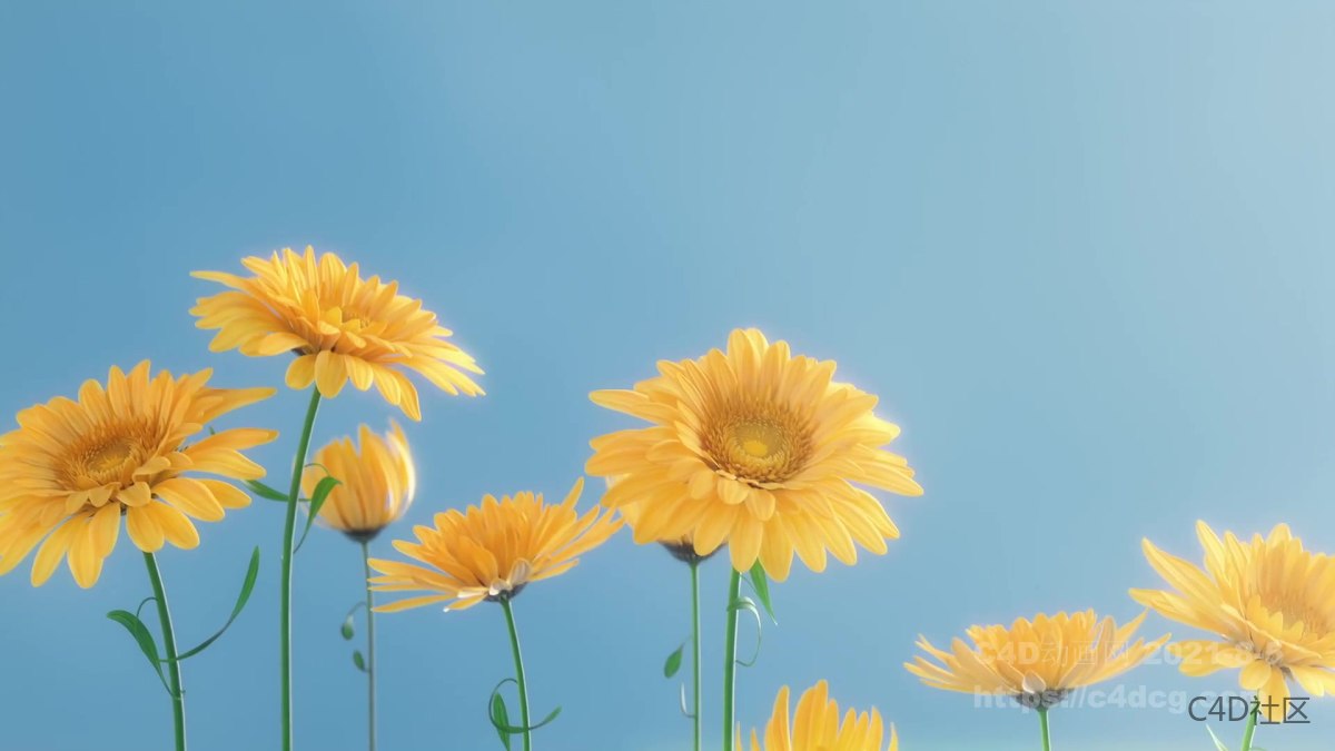 Kiehl's品牌宣传视频