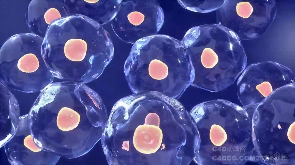 新手做的纯C4D美容仪动画有一定参考意义