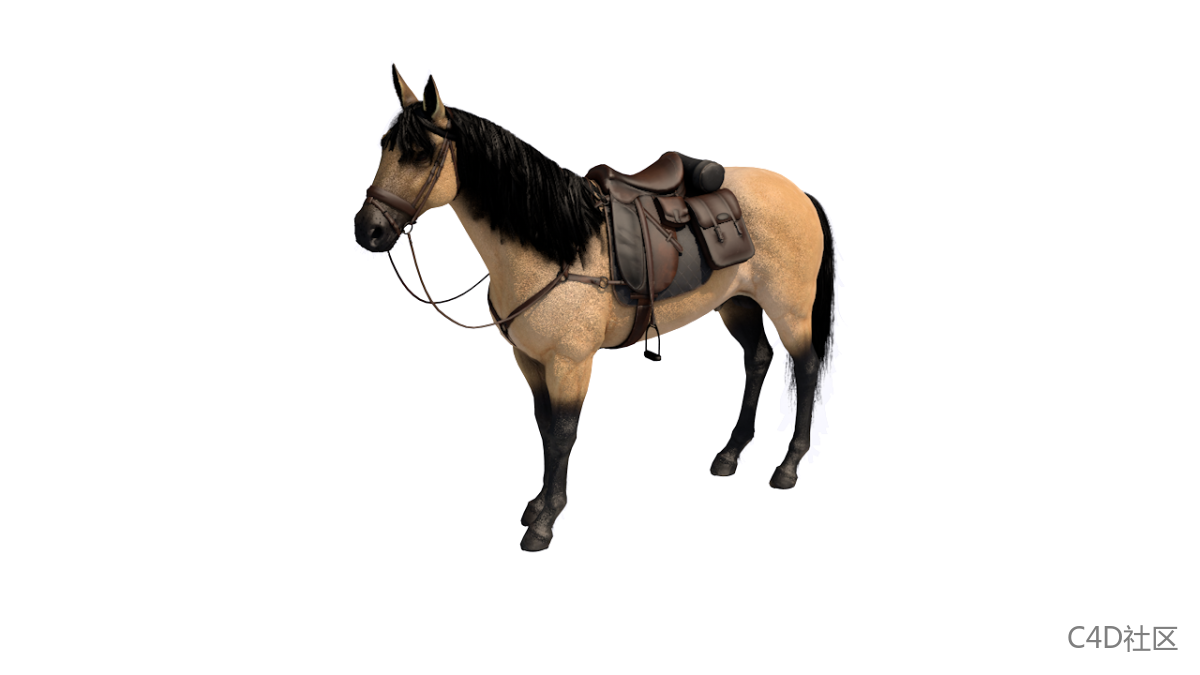 六匹不同颜色高精度的马