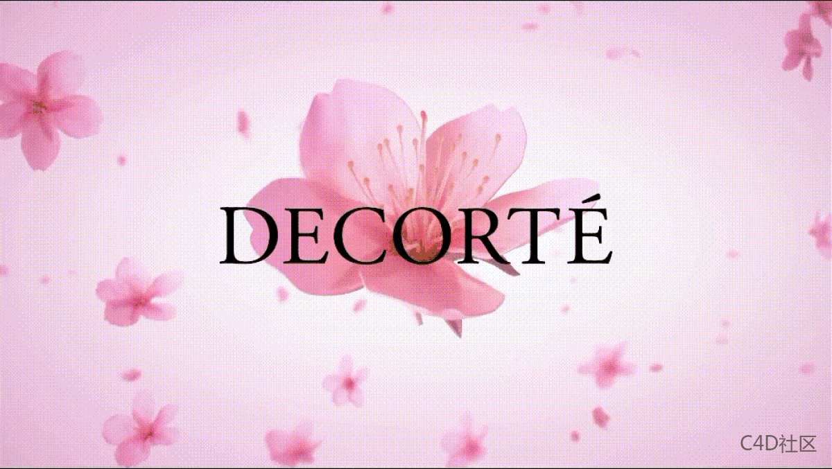 decorté产品动画