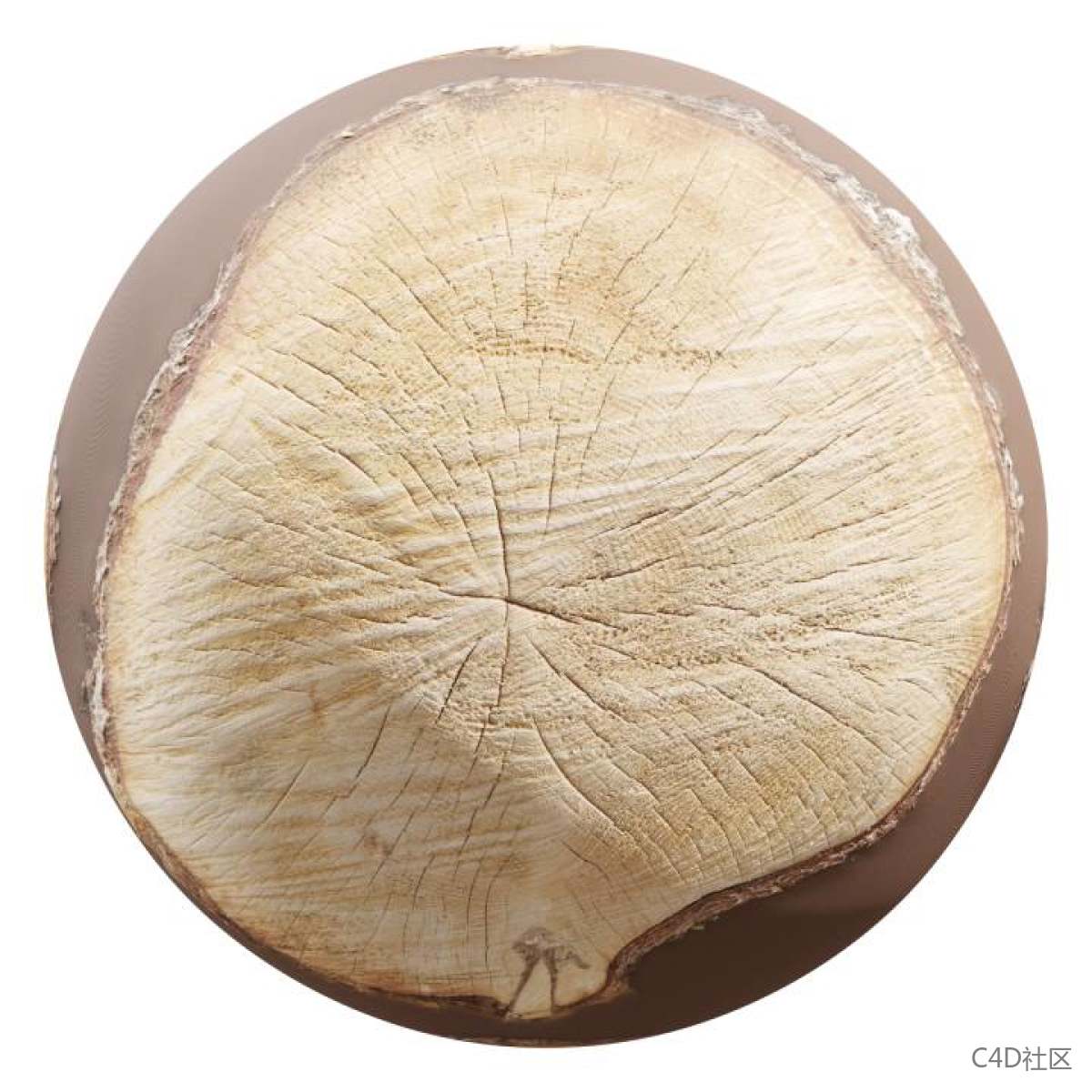 材质贴图-树桩风干后的开裂纹理