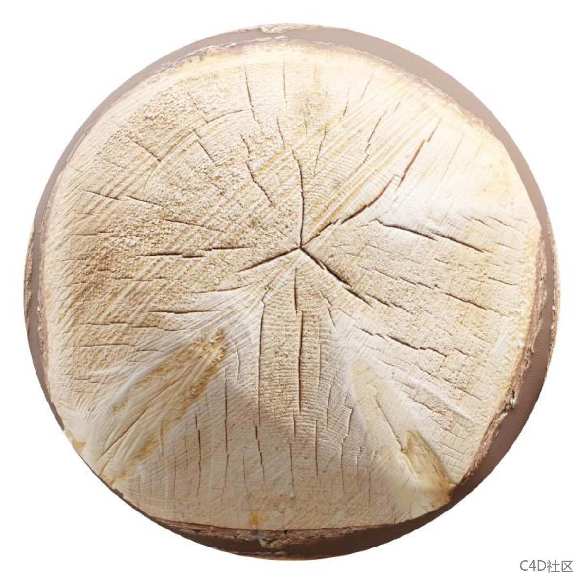 木桩开裂磨平后的纹理